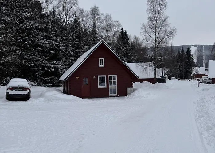 & - Base Camp Medvedin Špindlerŭv Mlýn